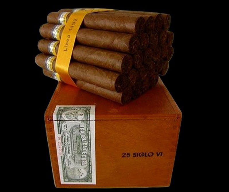 b6fd17dd 100f 47fc 8e29 a3f45515653f 1