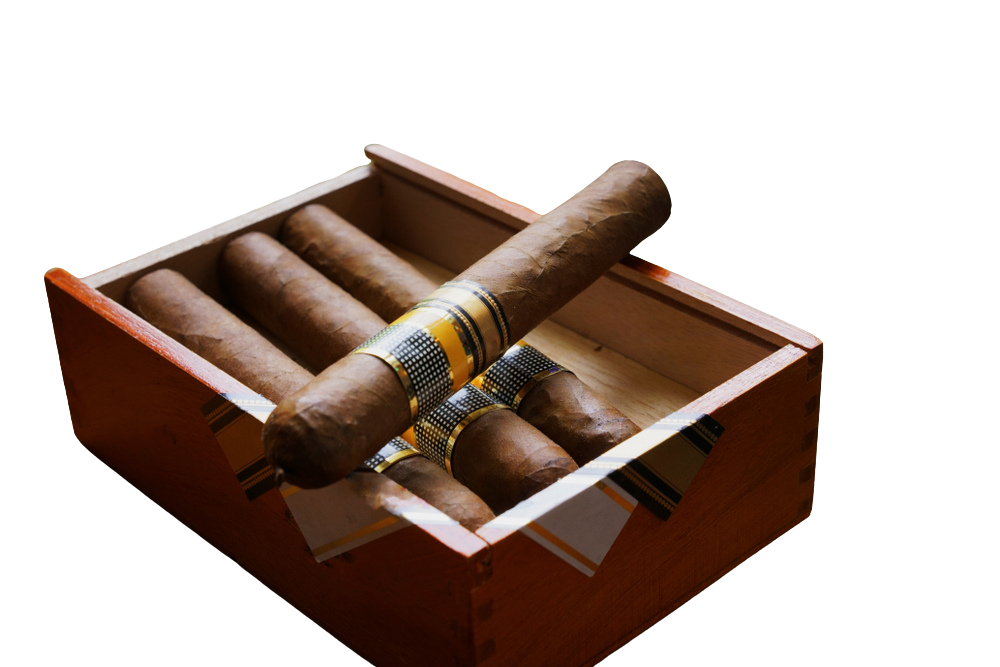 bbb082e9 3efc 4f11 a8d6 73d0790675b4