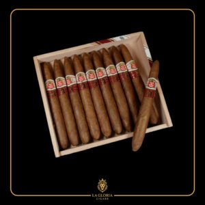 HOYO DE MONTERREY 10