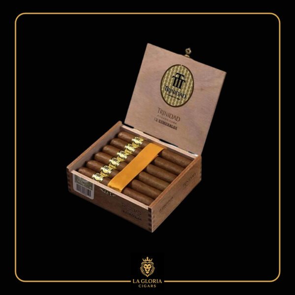 Untitled 1 copy 2026 02 06T002544.262