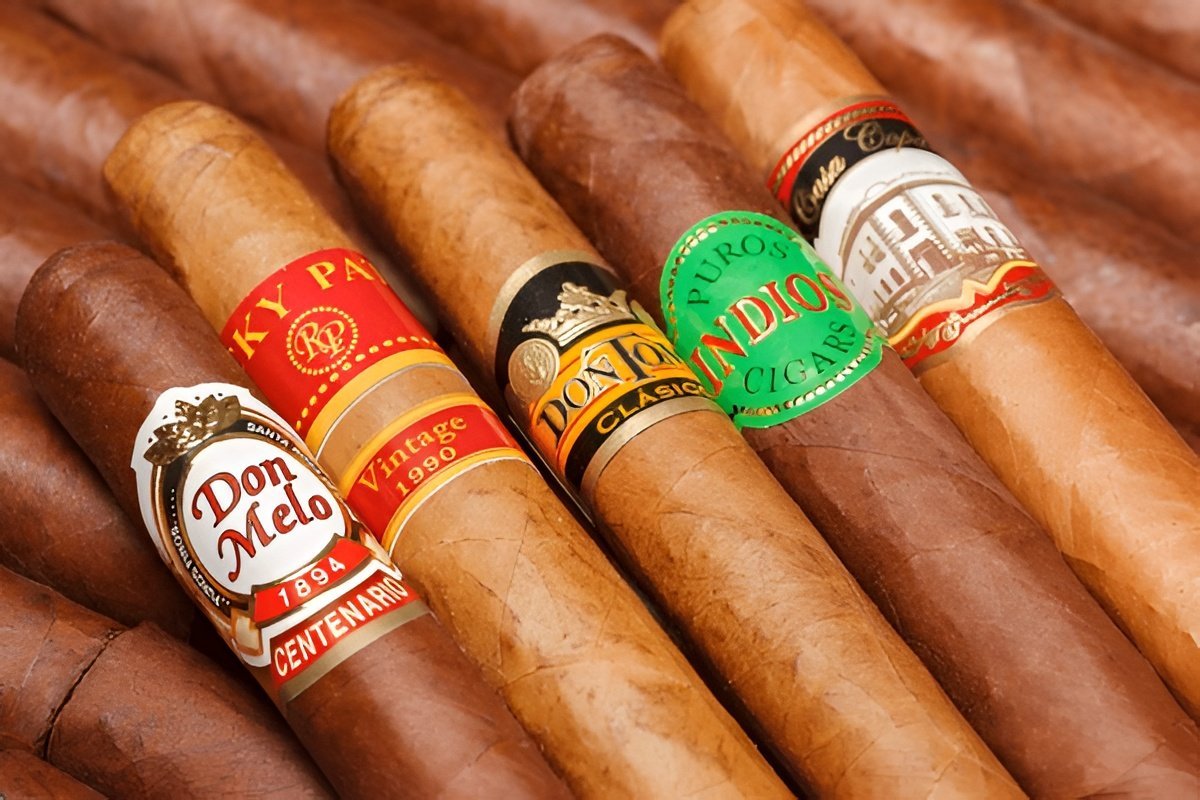 Real vs fake cigars comparison authentic Cuban cigar next to counterfeit