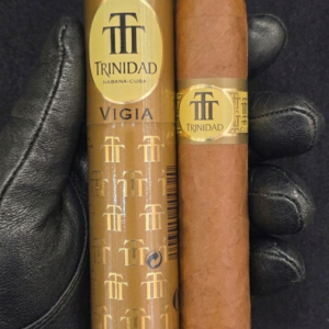 Trinidad Vigía